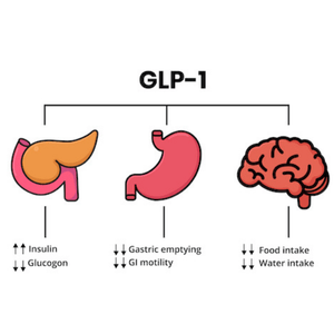 glp-1 agonists weight loss