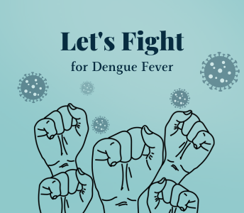 Dengue fever prevention tips, including using mosquito repellents and wearing protective clothing