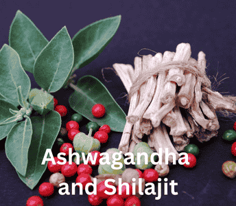 Ashwagandha and Shilajit